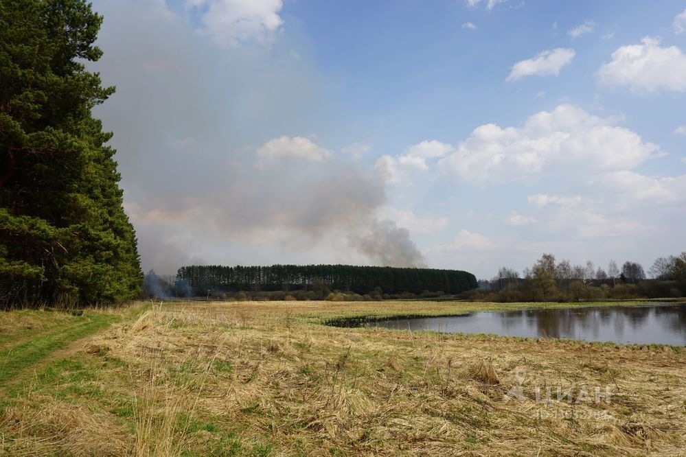 Можайский район деревня мышкино фото