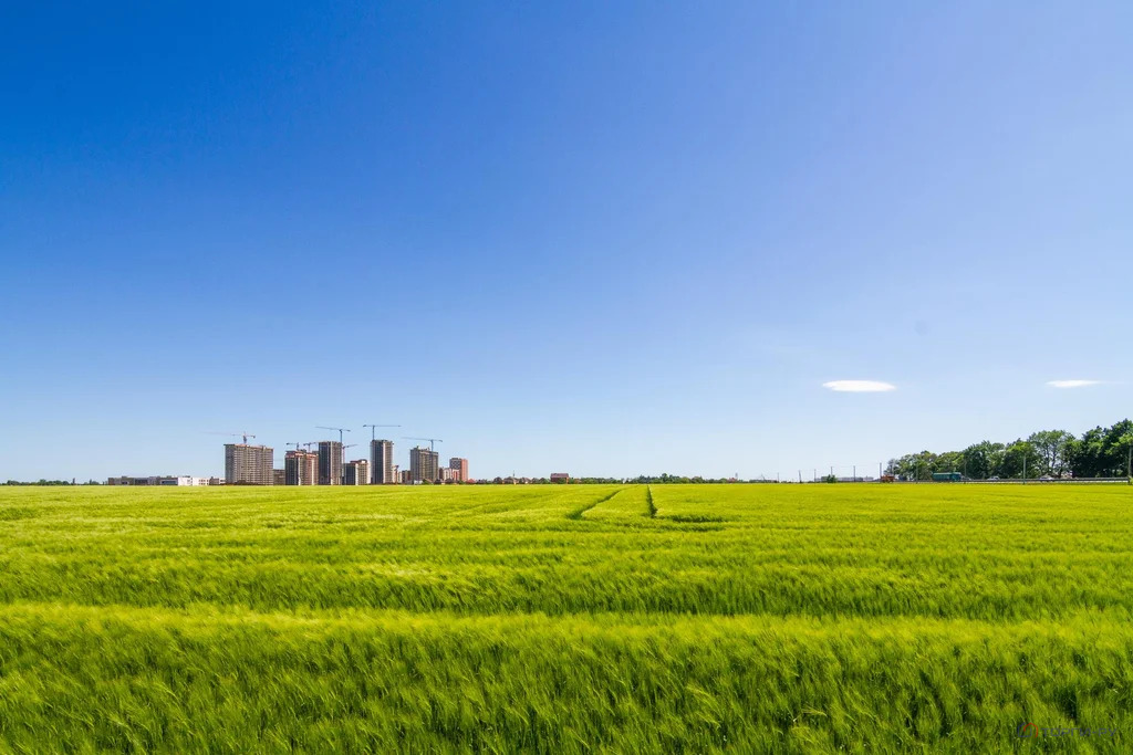 Продажа земельного участка, Знаменский - Фото 6