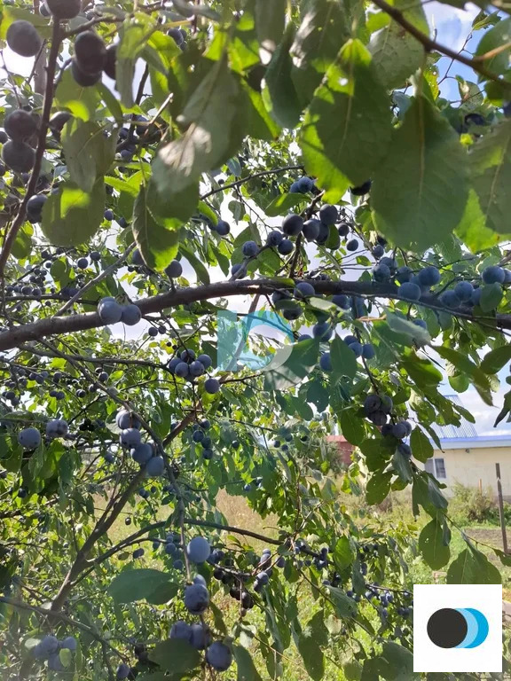 Продажа дома, Кетовский район - Фото 18