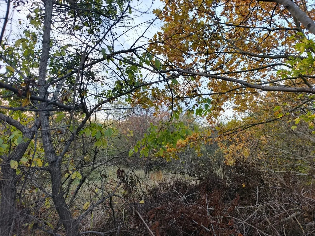 Продажа участка, Северский район - Фото 5