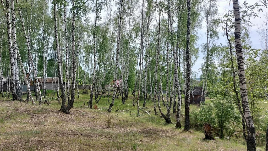 Купить Дом В Спасском Районе Выползово Рязань