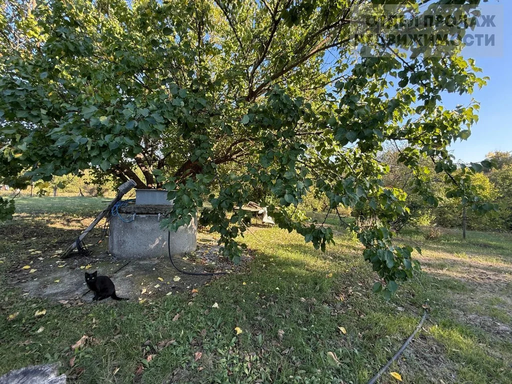 Дом в тихом месте - Фото 16