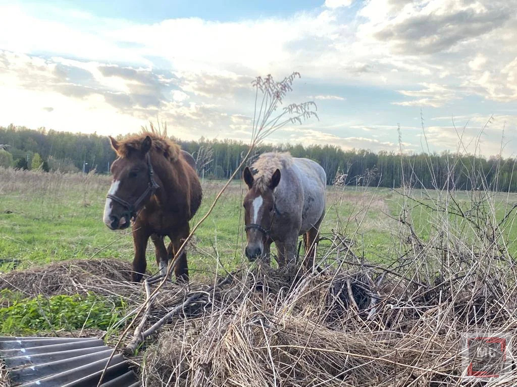 Продажа дома, м. Теплый Стан, 11 - Фото 10