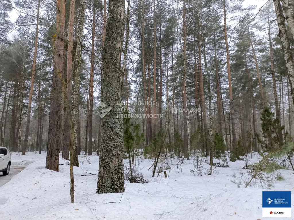 Продажа участка, Рязанский район, садоводческое товарищество Лесной - Фото 1