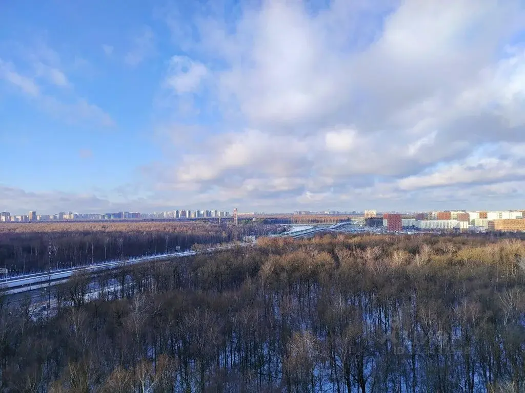 Сдам трехкомнатную квартиру 52.0м ул. Лобановский Лес, 13, Москва, НАО ... - Фото 33