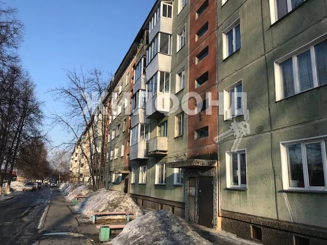 квартиры в линево новосибирской области искитимский район. Смотреть фото квартиры в линево новосибирской области искитимский район. Смотреть картинку квартиры в линево новосибирской области искитимский район. Картинка про квартиры в линево новосибирской области искитимский район. Фото квартиры в линево новосибирской области искитимский район квартиры в линево новосибирской области искитимский район. Смотреть фото квартиры в линево новосибирской области искитимский район. Смотреть картинку квартиры в линево новосибирской области искитимский район. Картинка про квартиры в линево новосибирской области искитимский район. Фото квартиры в линево новосибирской области искитимский район