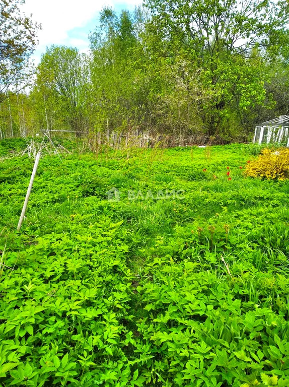 Собинский район, деревня Буланово,  земля на продажу - Фото 1