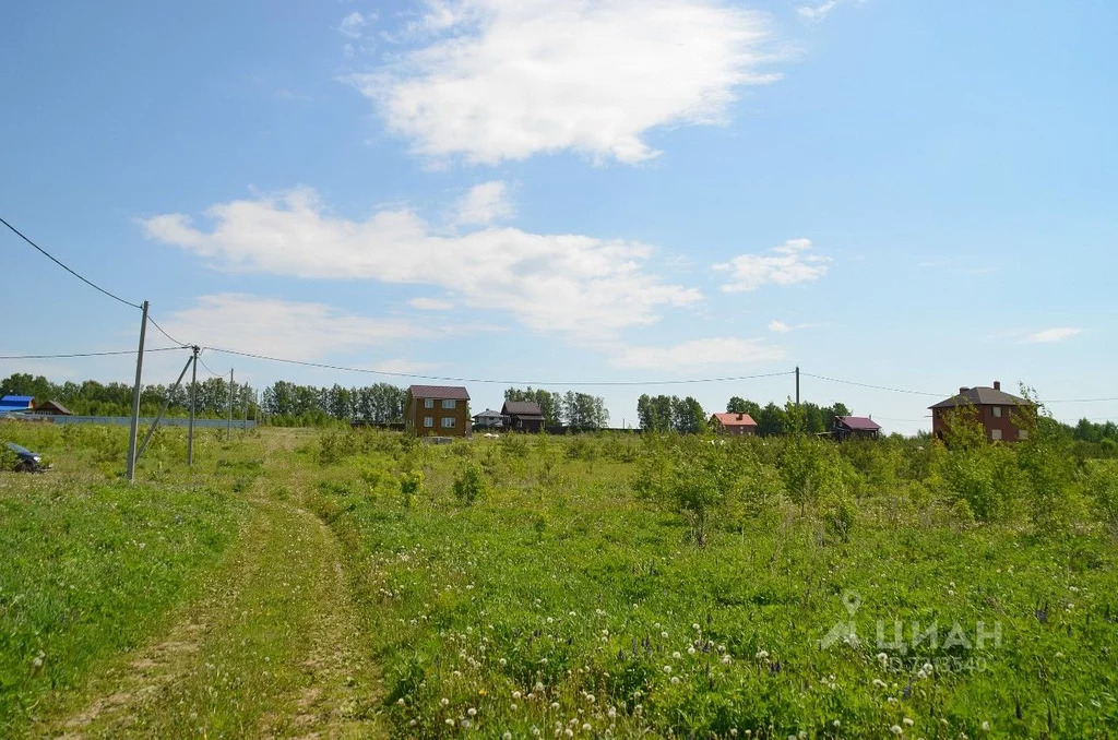 Дуденево нижегородская область карта