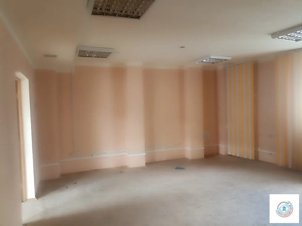 Помещение свободного назначения, 265.4 м - Фото 4