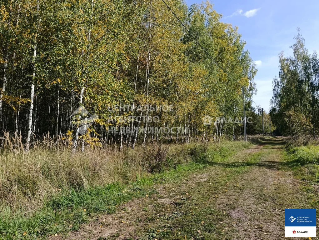 Продажа участка, Рязанский район, садоводческое товарищество Адвокат - Фото 3