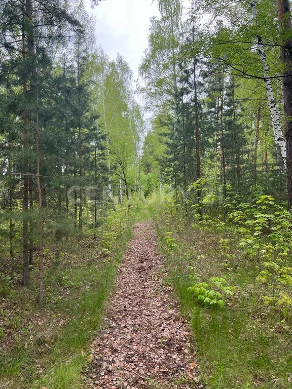 Продажа ПСН, Колодезское, Задонский район, ул. Солнечная - Фото 5