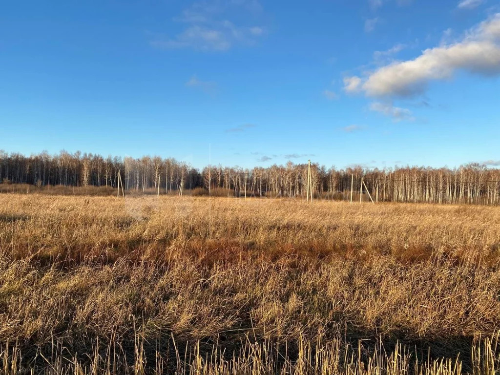 Продажа участка, Червишево, Тюменский район, Тюменский р-н - Фото 2