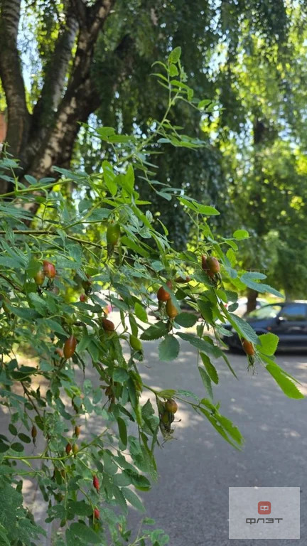 Продажа квартиры, Казань, ул. Владимира Кулагина - Фото 20