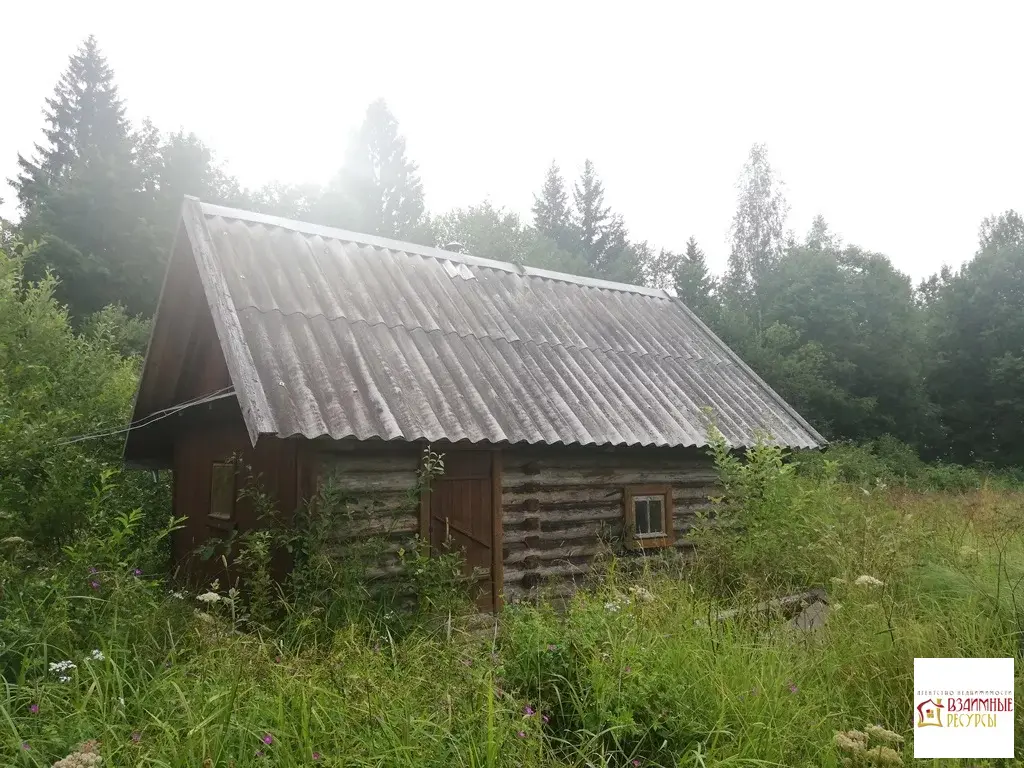 Деревня Дубровка Новгородская область.