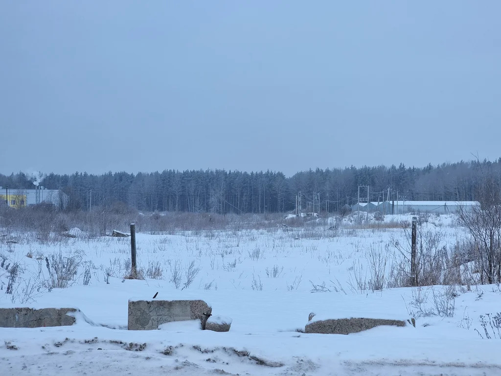 Продажа участка, Разбегаево, Ломоносовский район - Фото 1