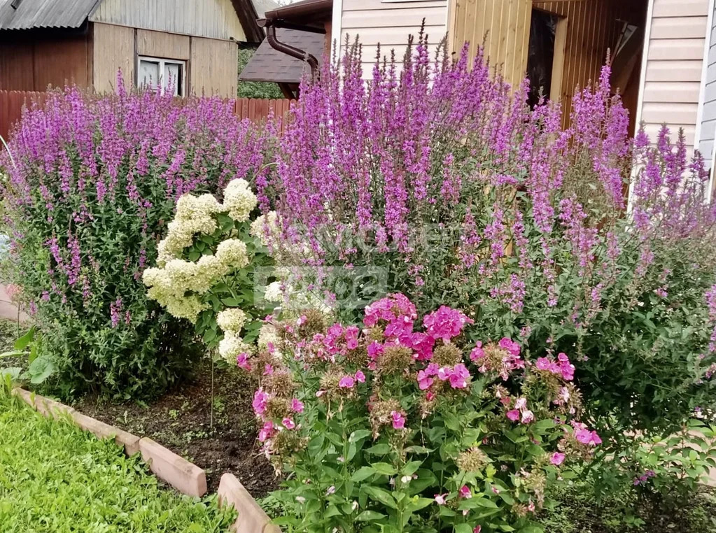 Продажа дома, Орудьево, Дмитровский район - Фото 26