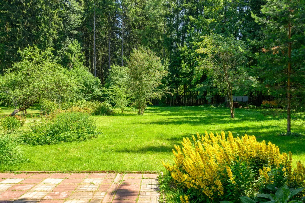 Продажа участка, Апрелевка, Наро-Фоминский район, ул. Кутузова - Фото 1
