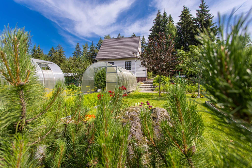 Дача у Вуоксы, всего 200 метров до воды – живите ближе к природе! - Фото 3