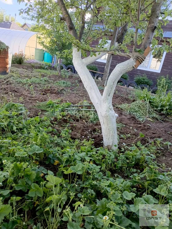 Продажа дома, СДТ Овощник-2, Высокогорский район, 7-я аллея - Фото 18