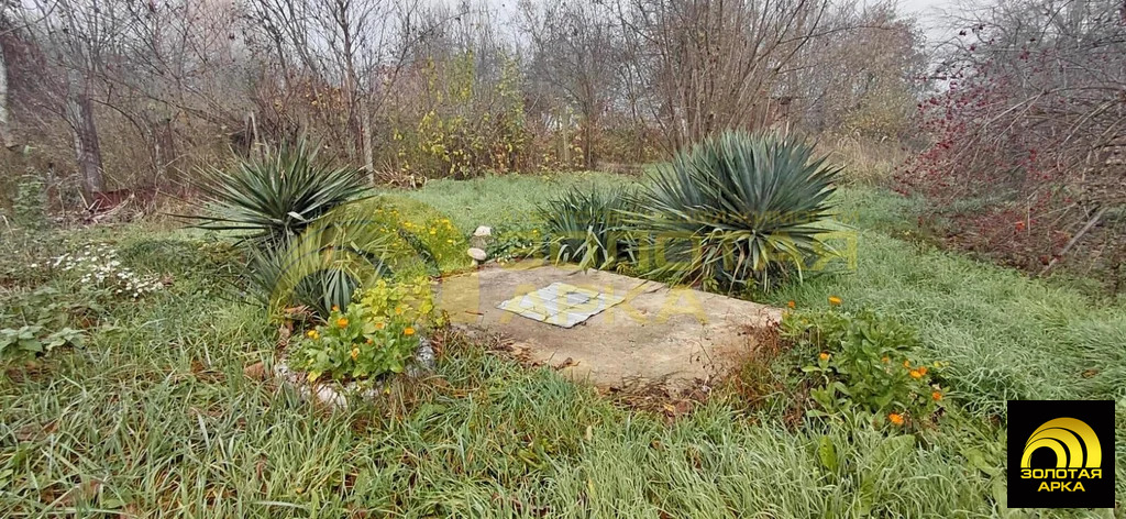 Продажа дома, Евсеевский, Крымский район, ул. Школьная - Фото 19