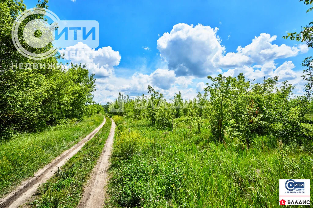 Продажа участка, Гудовка, Семилукский район - Фото 2