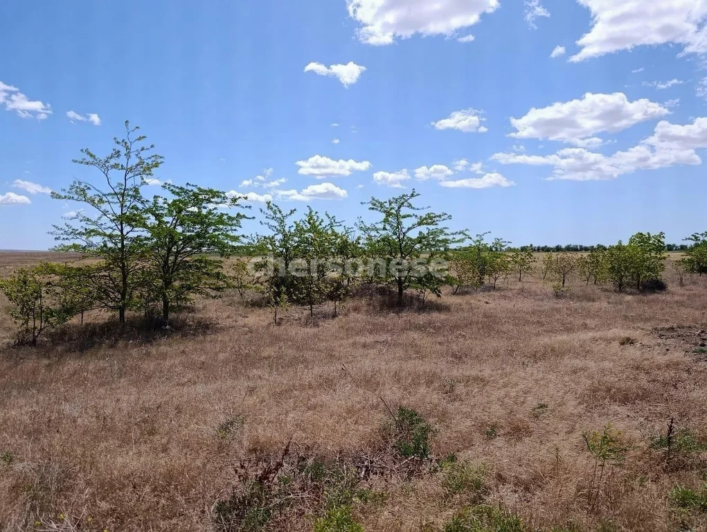 Продажа участка, Наташино, Сакский район, ул. 50 лет ВЛКСМ - Фото 4