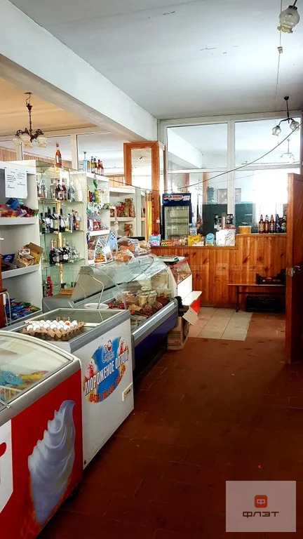 Продажа готового бизнеса, Мемдель, Высокогорский район, ул. ... - Фото 7