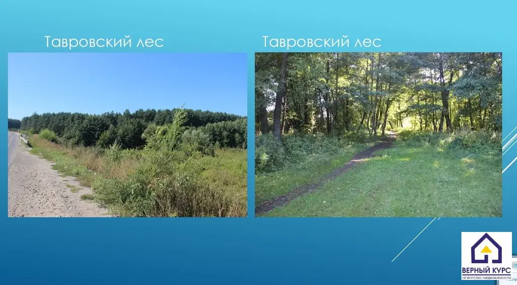 Продажа земельного участка в Таврово - Фото 7