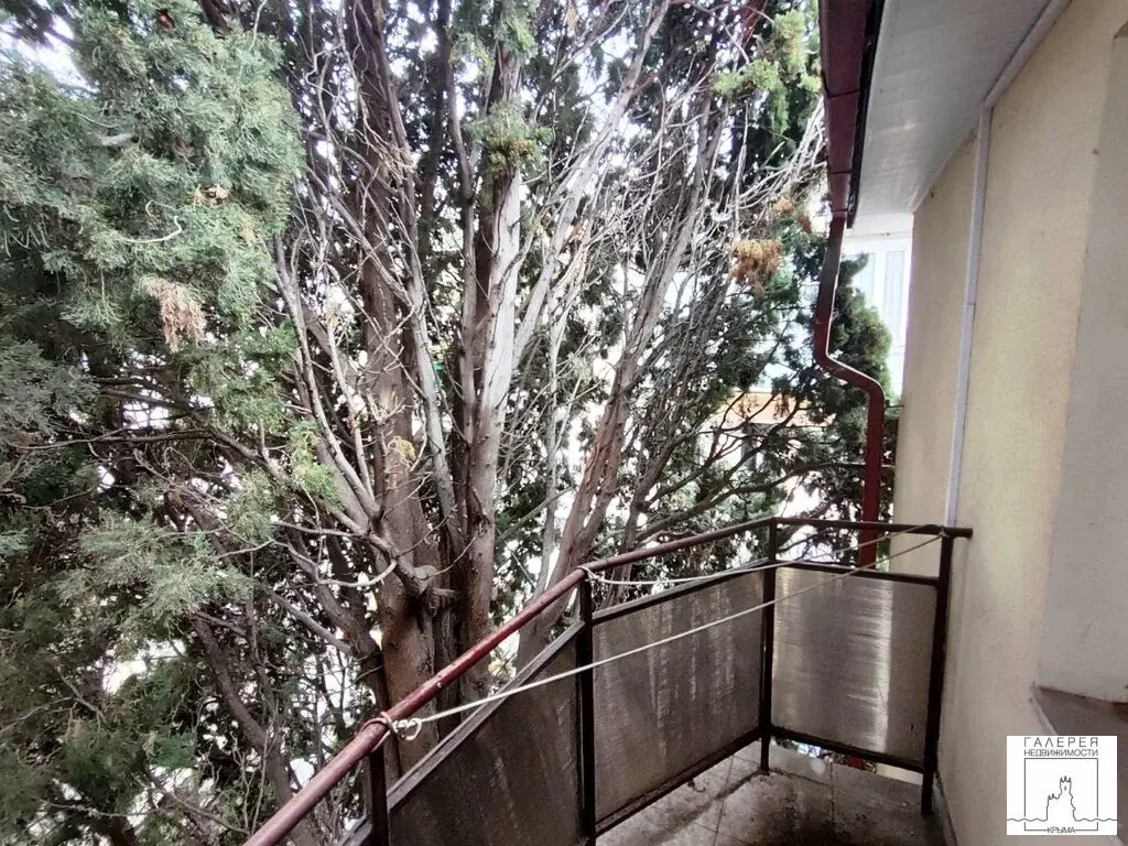 №4549 Гостевой дом у моря в Ялте (100 м до Массандровского пляжа) - Фото 9