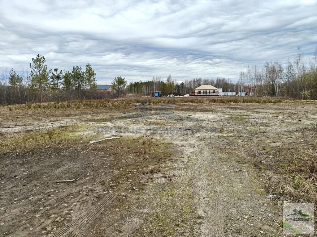 Продажа, участок 12.00 соток - Фото 6