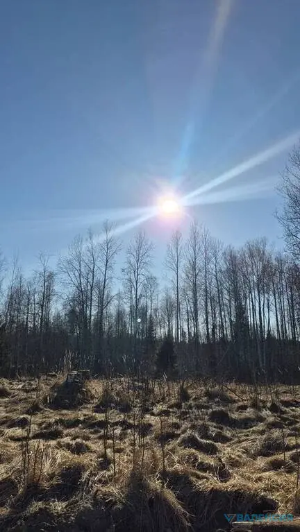 Продается ЗУ в собственности в ТСН "Вымпел" - Фото 7