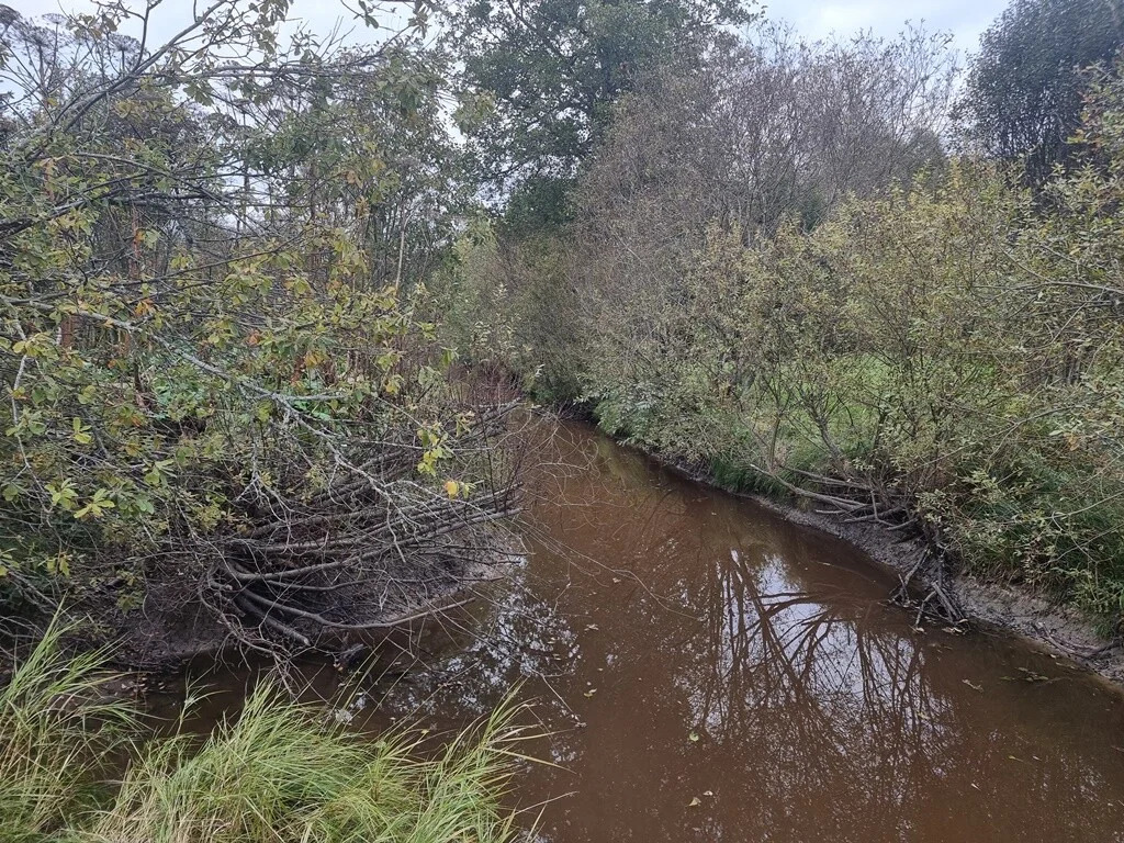 Продажа участка, Кротово, Приозерский район - Фото 14