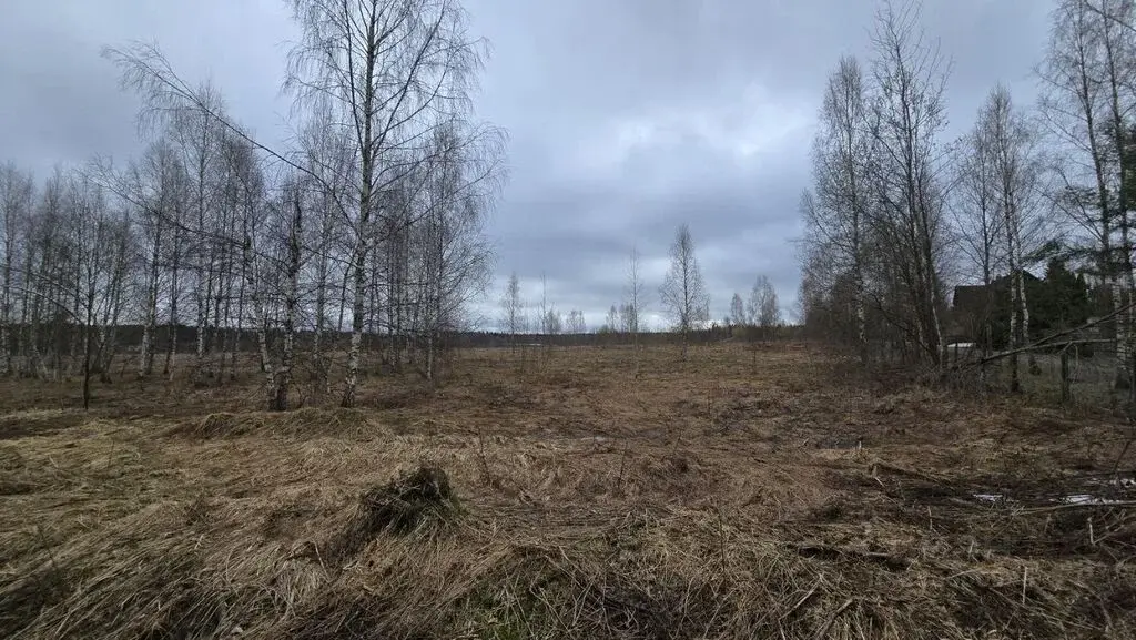 Продажа участка 19.72 га Московская область, Истра муниципальный ... - Фото 11