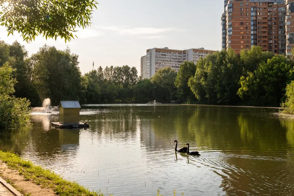 Сдам офис 390,3 м2 в ЖК Миракс-Парк - Фото 38