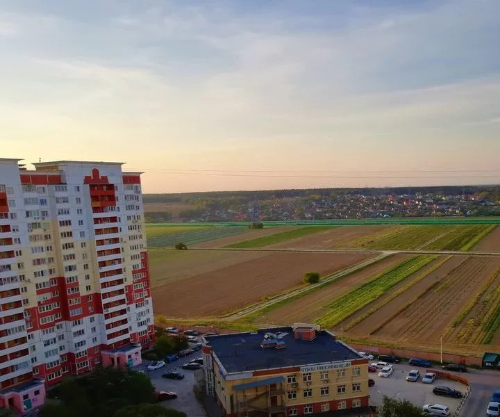 Фото дубки внииссок