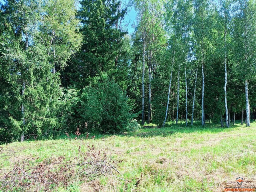 Продажа дома, Истра, Истринский район, Московская обл - Фото 26