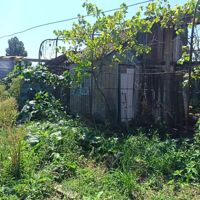 Продажа дома, Крымск, Крымский район, ул. Шевченко - Фото 18