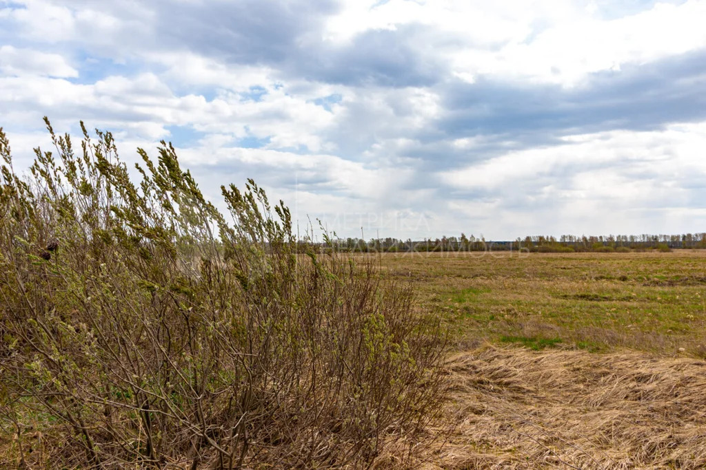 Продажа земельного участка, Ембаево, Тюменский район, Тюменский р-н - Фото 5