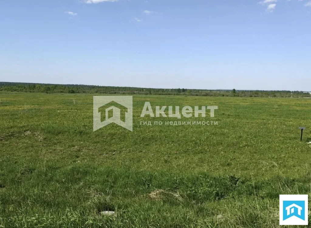 Продажа участка, Писцово, Вичугский район, Красноармейская улица - Фото 3