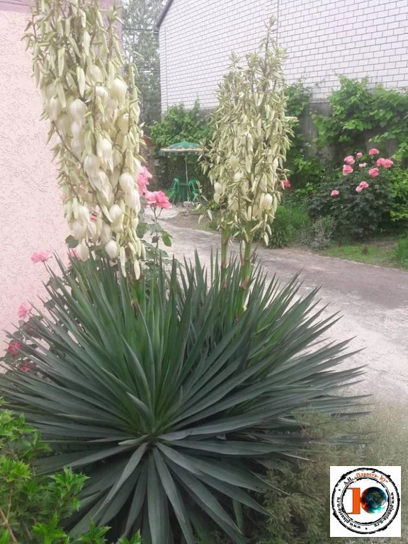 Продажа готового бизнеса, Анапа, Анапский район, Ул. Северная - Фото 9
