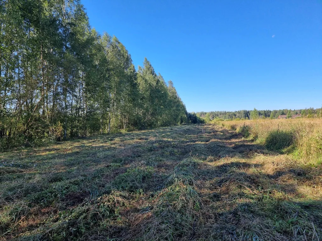 Продажа участка, Большие Пороги, Всеволожский район - Фото 6