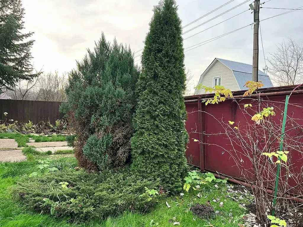 Дом в СНТ Соколово - Фото 31