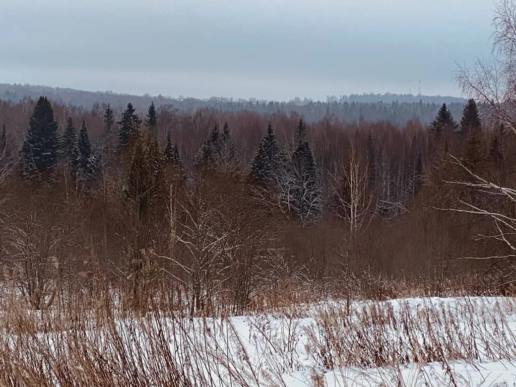 Продажа участка, Дмитровский район - Фото 4