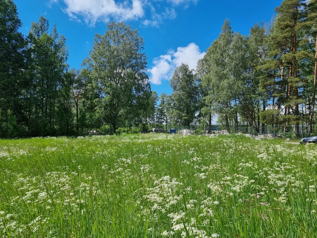 Продажа участка, Выборгский район, улица Зиминская - Фото 10