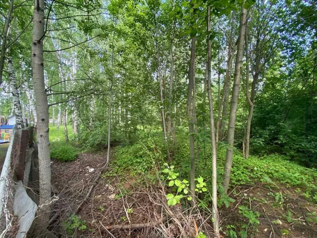 Лесной участок на Рублевке в элитном поселке - Фото 5
