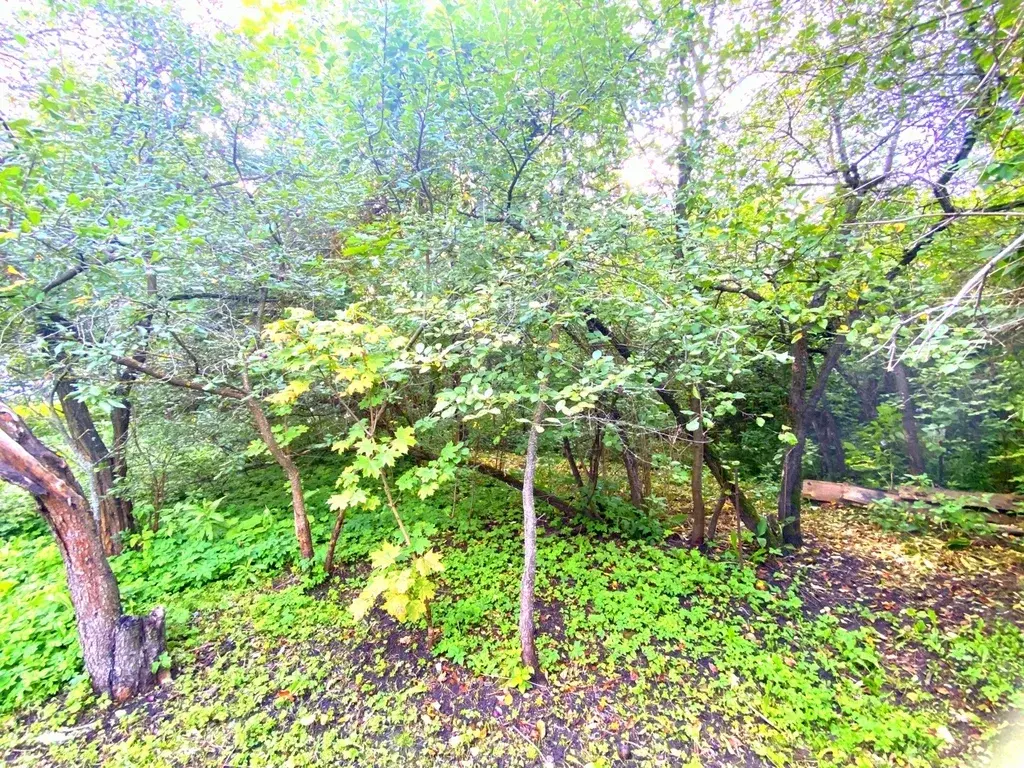 Дом на улице 9 Января - Фото 11