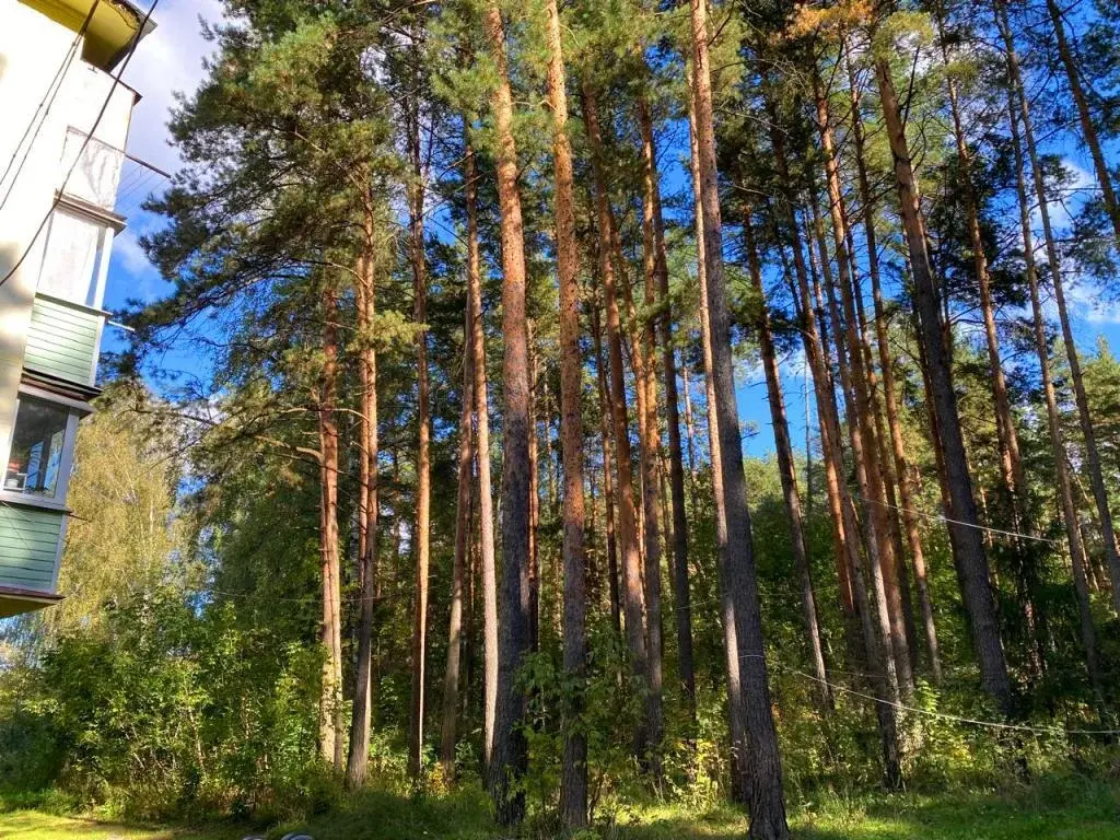 2-я квартира в с. Ильинский Погост, ул. Совхозная, д. 1 - Фото 9