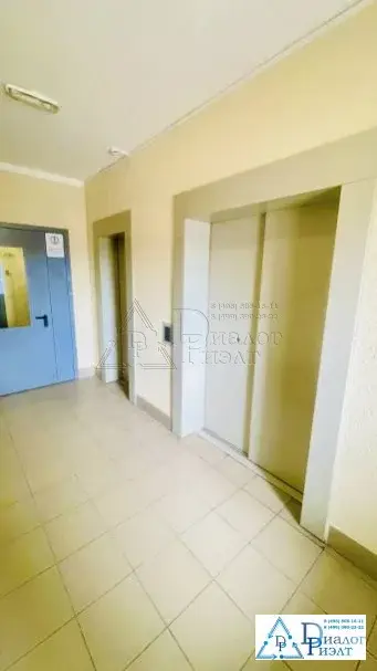 2-комнатная квартира 54,8 м2 в ЖК Томилино парк г.о. Люберцы - Фото 5