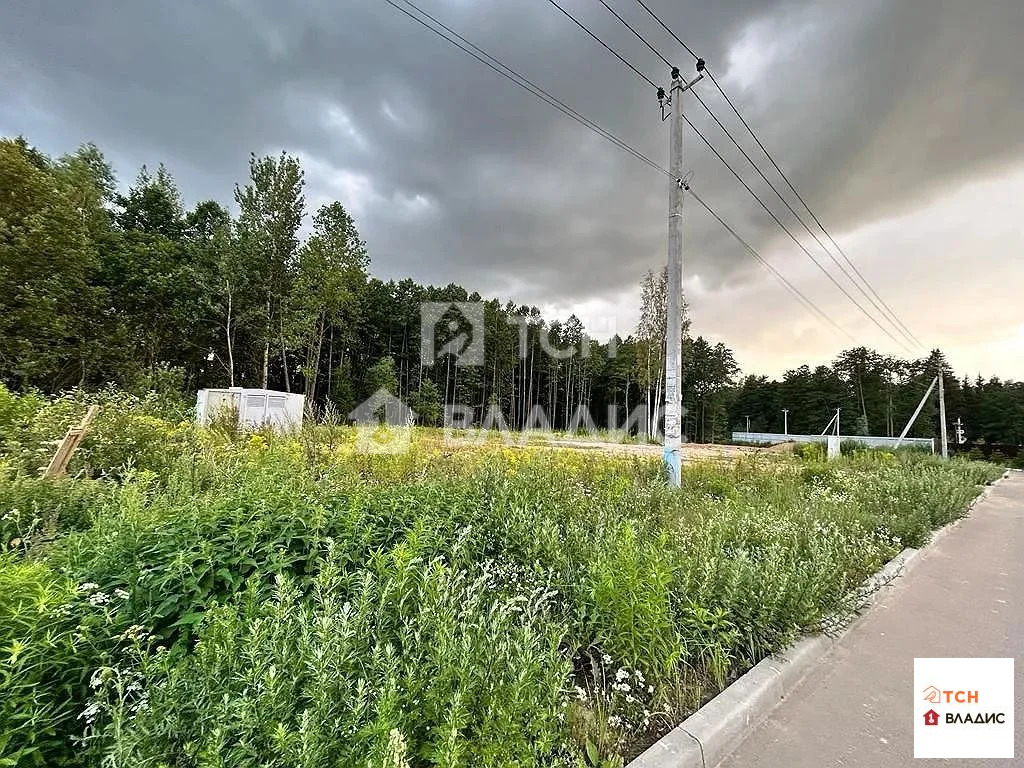 городской округ Щёлково, деревня Шевёлкино, Каштановая улица,  земля ... - Фото 2