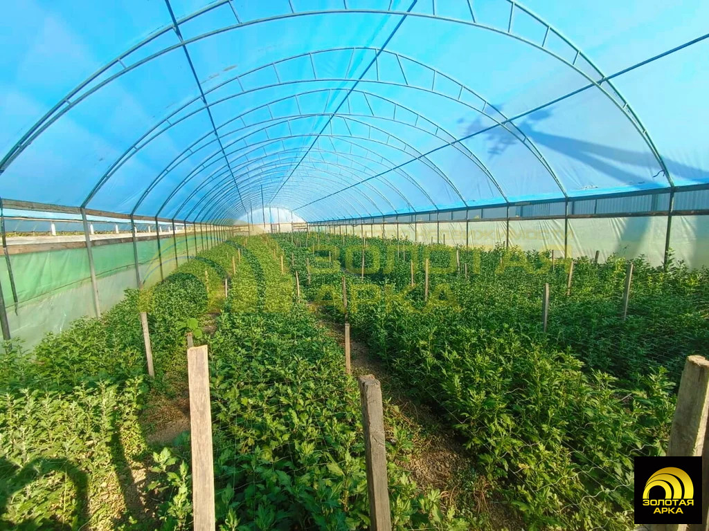 Продажа готового бизнеса, Краснооктябрьский, Абинский район, ул. ... - Фото 2